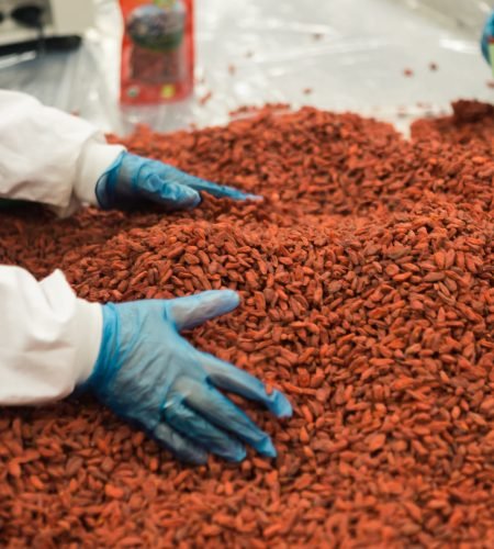 person holding grains on table